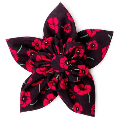The Worthy Dog Poppies Black Collar Flower