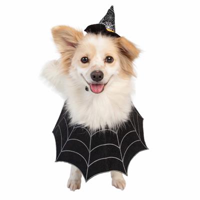 Pet Krewe Witch Hat & Collar Set for Dogs