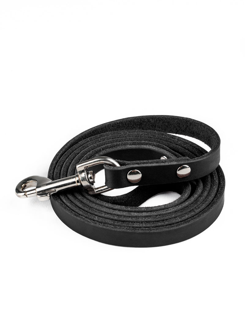 Mighty Paw Distressed Leather Dog Collar & Leash Lite Leash / Black - Paw Naturals