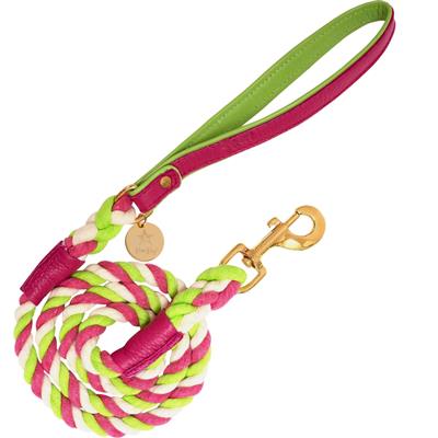 PoisePup Leather Leash Candy Swirl Title - Paw Naturals