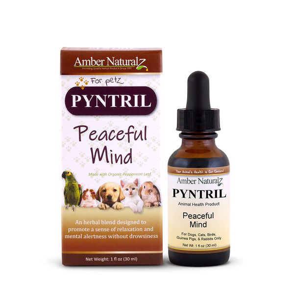 Amber NaturalZ Pyntril Pet Supplement