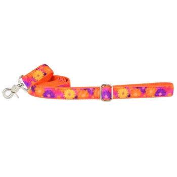2 Hounds Design Gerbera Daisy Velvet Essential Dog Collar & Leash 5' Leash - Paw Naturals