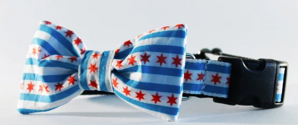 Sophisticated Pup Chicago Flag Bow Tie Dog Collar Set