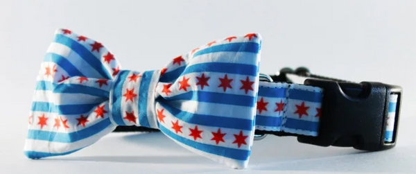 Sophisticated Pup Chicago Flag Bow Tie Dog Collar Set - XS