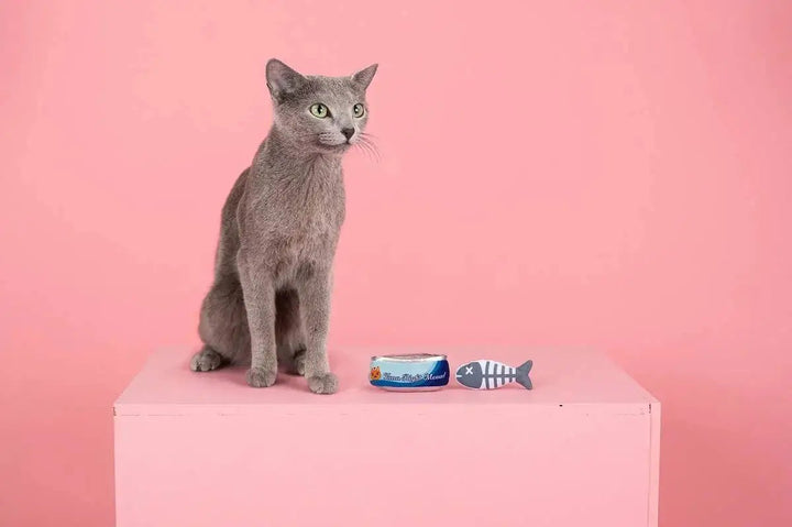 PetShop by Fringe Studio Tuna Right Meow Cat Toy Set 2pc