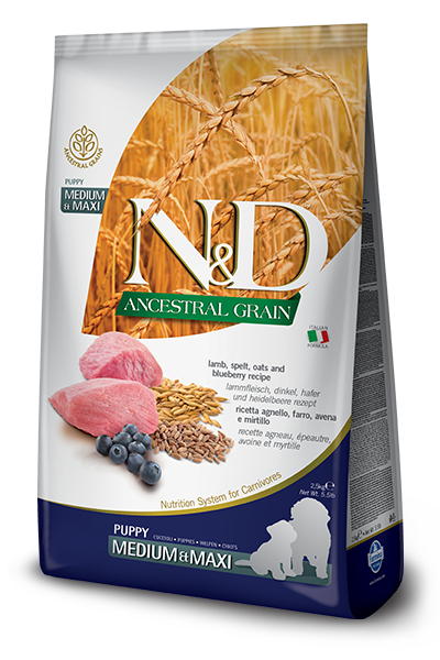 Farmina N&D Ancestral Grain Lamb & Blueberry Dry Dog Food 26.4lb / Puppy Medium & Maxi - Paw Naturals