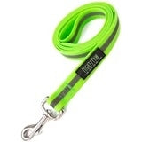 Mighty Paw Waterproof, Stink Proof, Dog Collar & Leash, 6-ft long 6' Leash / Green - Paw Naturals