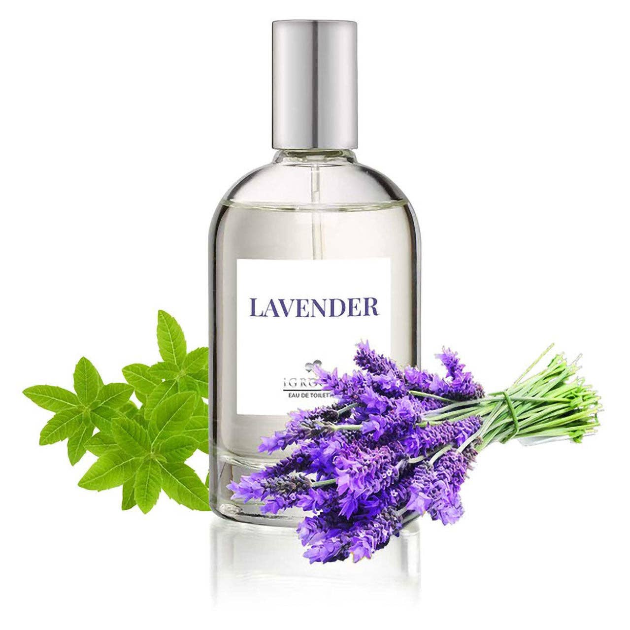 iGroom Lavender Pet Perfume 100ml