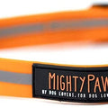 Mighty Paw Waterproof, Stink Proof, Dog Collar & Leash, 6-ft long Small / Orange - Paw Naturals