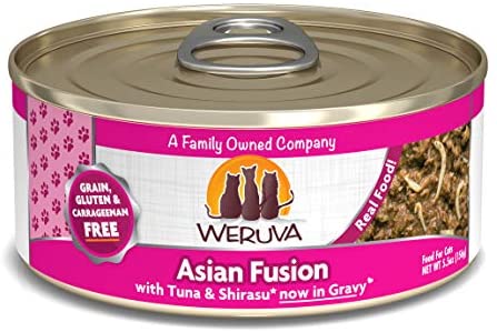 Weruva Classic Canned Cat Food Asian Fusion / 5.5oz - Paw Naturals