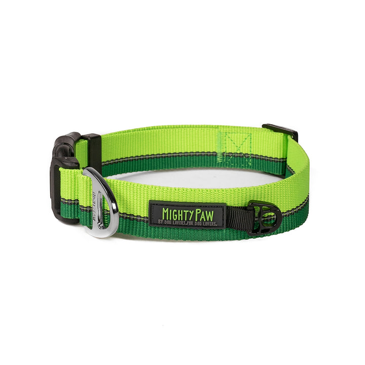 Mighty Paw Standard Reflective Colorblast Dog Collar Green / Small - Paw Naturals
