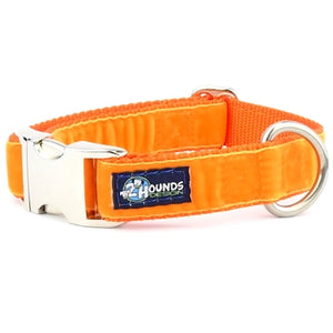2 Hounds Design Swiss Velvet Essential Dog Collar Orange / Small (10-14") Collar - Paw Naturals