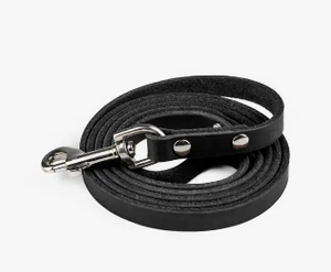 Mighty Paw Leather 6' Dog Leash Black - Paw Naturals