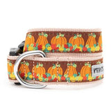 The Worthy Dog Pumpkin Patch Collection Collars