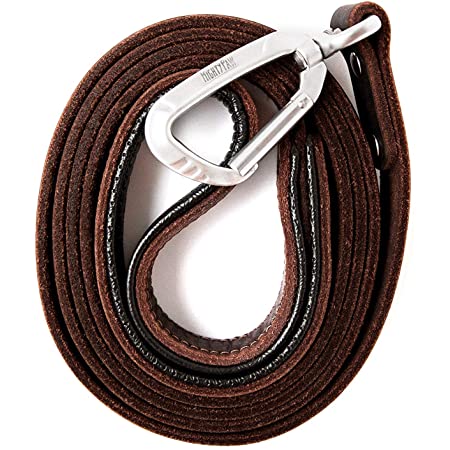 Mighty Paw Leather 6' Dog Leash Brown - Paw Naturals