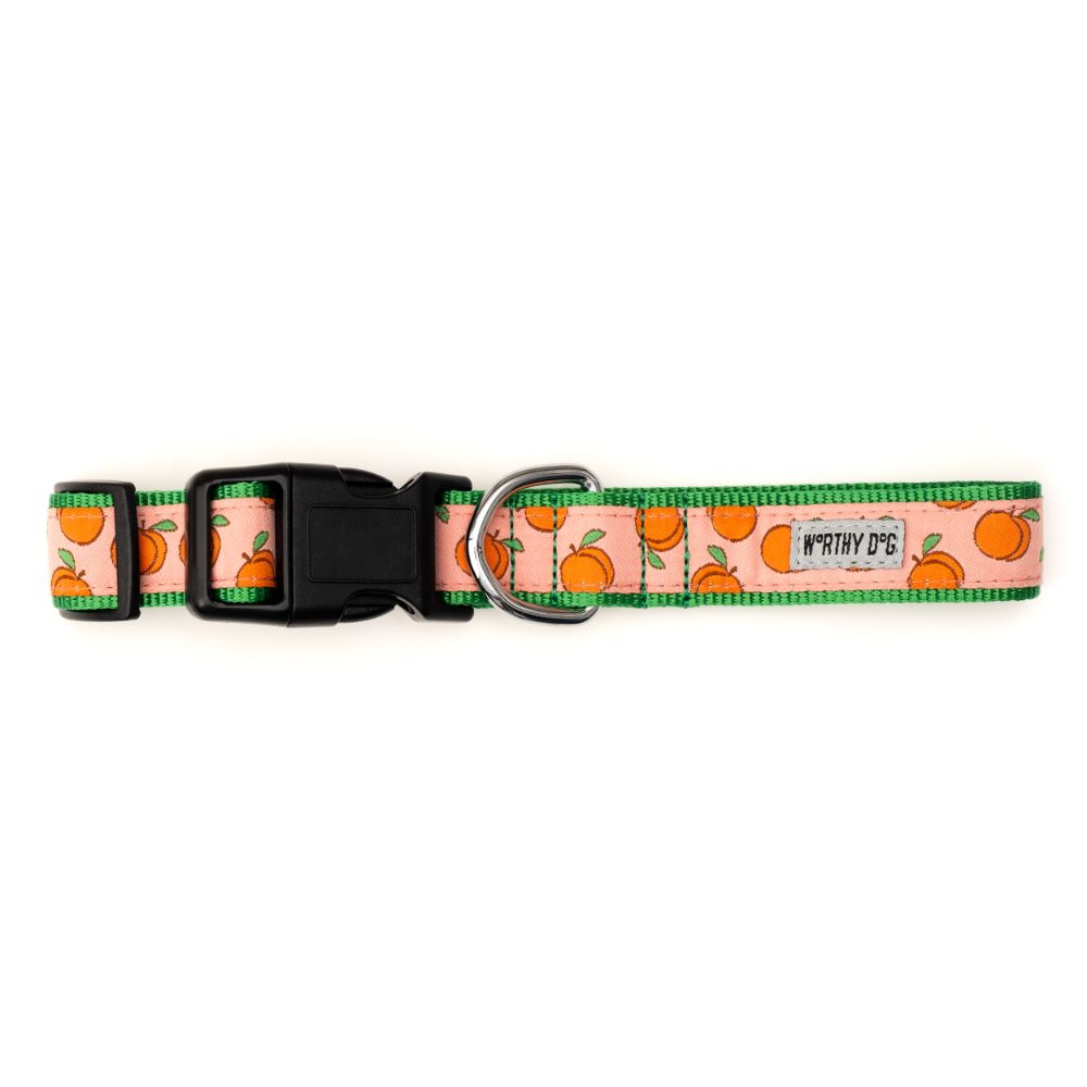 The Worthy Dog Peachy Keen Collar & Lead Collection