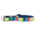 Up Country Colorful Stripe Dog Collar & Leash Collection