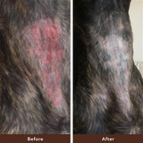 Natural Dog Company Skin Soother