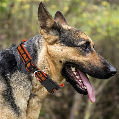 Pets First Co. NFL Chicago Bears Dog Collar - Paw Naturals