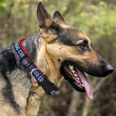 Pets First Co. MLB Chicago Cubs Collar