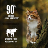 Orijen Cat Regional Red Dry Cat Food