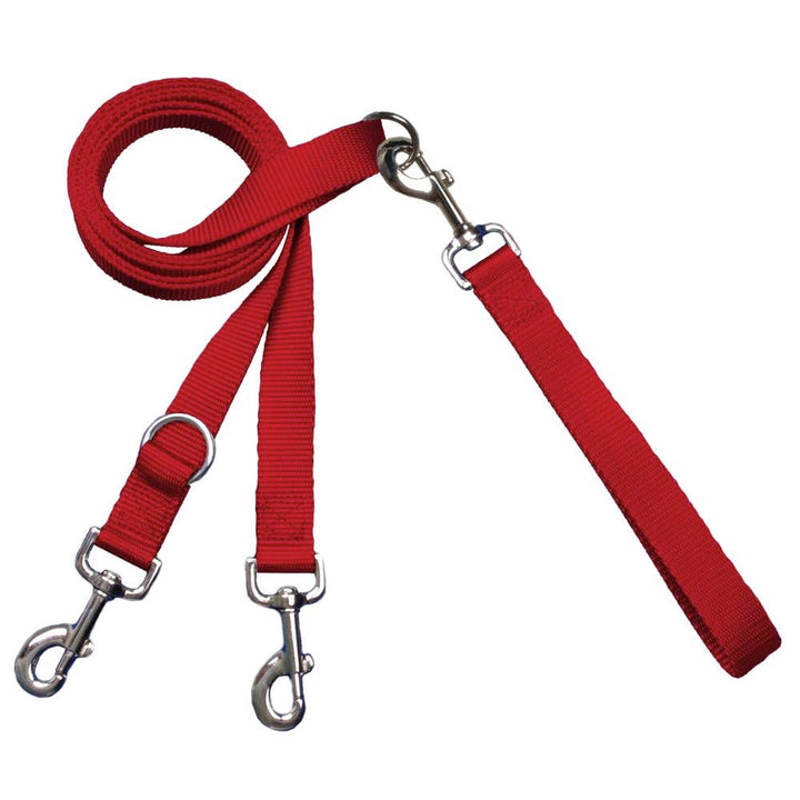 2 Hounds Design 1" Wide Adjustable Handle Nylon Leashes - Paw Naturals