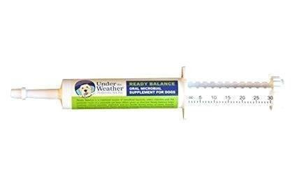 Under The Weather Ready Balance Probiotic Gel 30g For Dogs - Paw Naturals