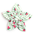 The Worthy Dog Green Stripe Watermelon Collection Flower