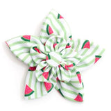 The Worthy Dog Green Stripe Watermelon Collection Flower