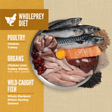 Orijen Amazing Grains Puppy Dry Dog Food