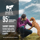 Orijen Premium Stew Beef Canned Dog Food