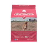 Open Farm Ancient Grain Wild Salmon Recipe Dry Dog Food 4.5lb - Paw Naturals