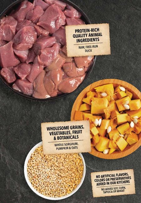 Acana Wholesome Grains Limited Ingredient Diet Duck & Pumpkin Recipe Dry Dog Food