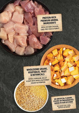 Acana Wholesome Grains Small Breed Dry Dog Food
