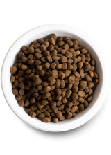 Open Farm Grain-Free Grass-Fed Beef Recipe Dry Dog Food