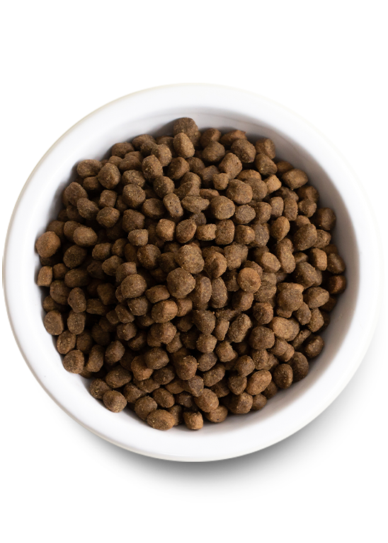 Open Farm Grain-Free New Zealand Venison Recipe Dry Dog Food