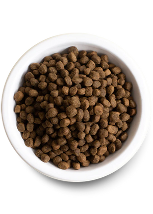 Open Farm Kind Earth Premium Insect Recipe Dry Dog Food - Paw Naturals