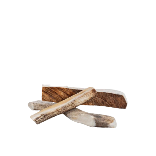 Primal Split Moose Antler Dog Chew