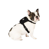 Canada Pooch Pack It Jacket Dog Raincoat - Paw Naturals