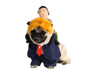 Sparky & Co Yellow-Haired President with Russian Rider Dog Costume