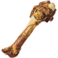 Redbarn Shank Bone 10" Dog Chew