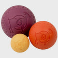 Tall Tails Goat Ball Dog Toy - Paw Naturals