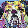 Dean Russo Original Canvas Wall Art Bulldog 16x20 - Paw Naturals