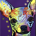 Dean Russo Original Canvas Wall Art Chihuahua II 16x20 - Paw Naturals