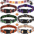 Sparky & Co Halloween Print Collar (assorted Styles) Small - Paw Naturals