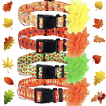 Sparky & Co Fall Print Collar w/ Flower (assorted Styles) Small - Paw Naturals