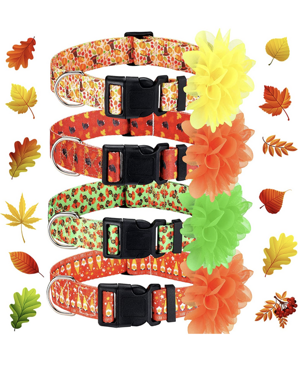 Sparky & Co Fall Print Collar w/ Flower (assorted Styles) Small - Paw Naturals