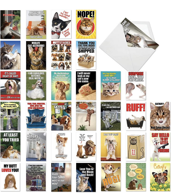 Nobleworks Pet-Themed Funny Everyday Greeting Card - Paw Naturals
