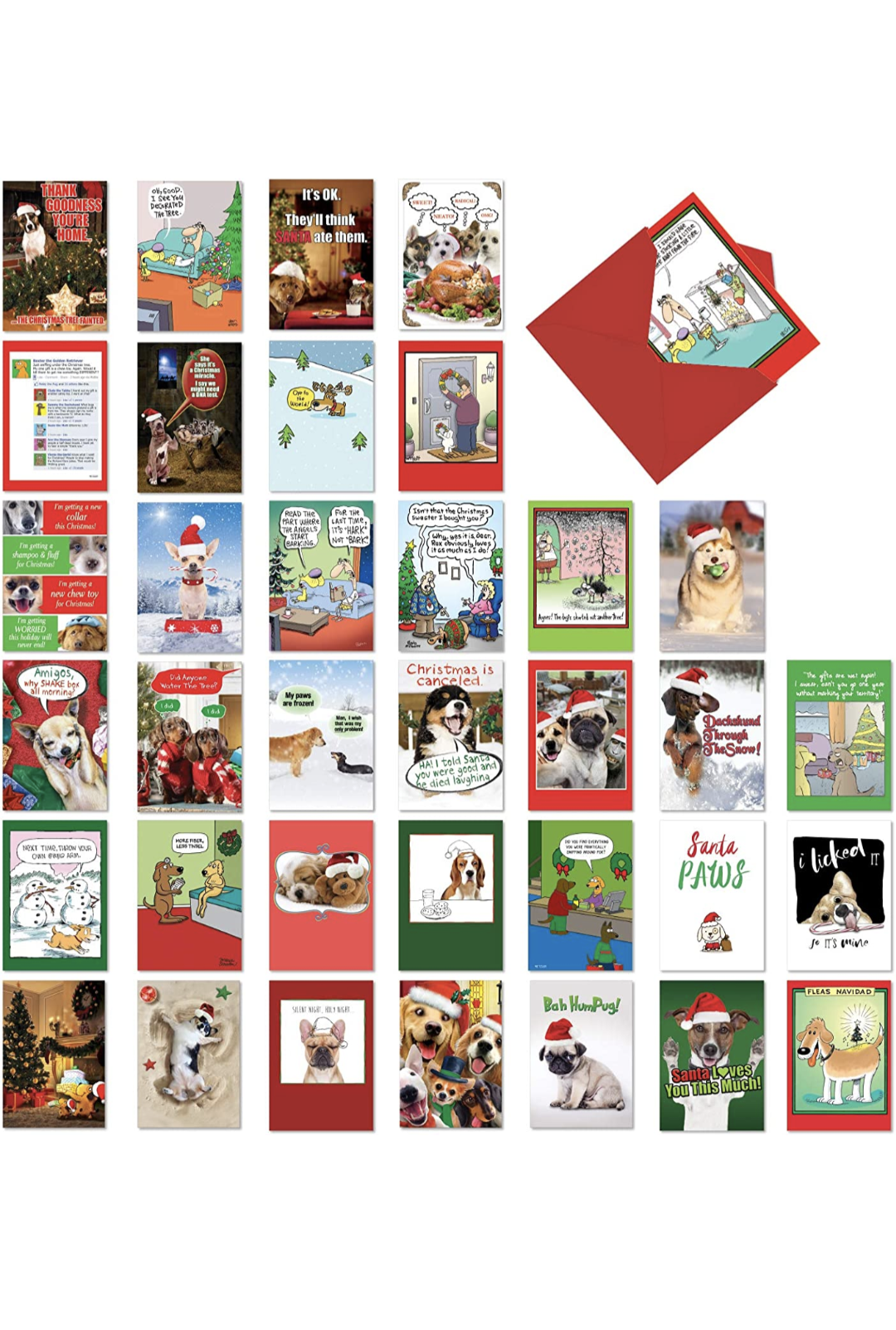 Nobleworks Pet-Themed Funny Holiday Greeting Card – Paw Naturals