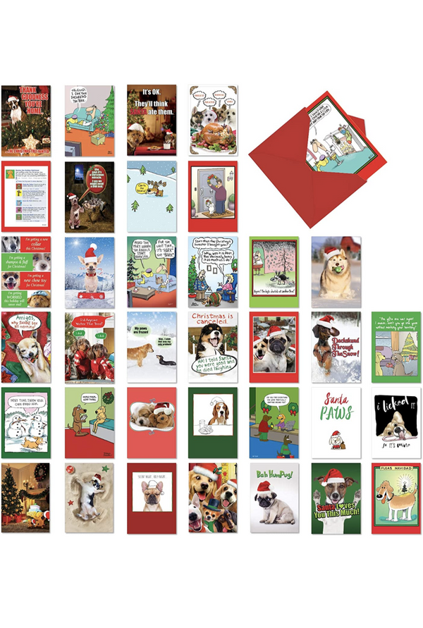 Nobleworks Pet-Themed Funny Holiday Greeting Card - Paw Naturals